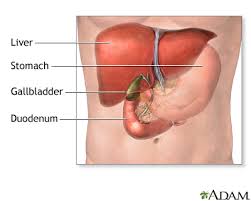 gallbladder removal open information