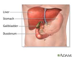 acute cholecysis information mount