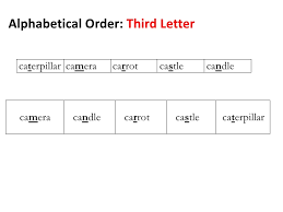 Uppercase and lowercase letters are … Alphabetical Order
