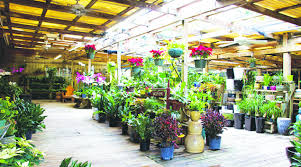 Hirni S Wayside Garden Florist Is A
