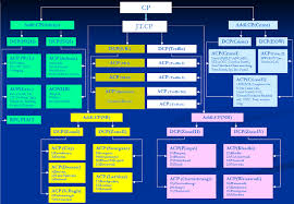 File Organization Structure Of Pune City Police Png Wikipedia