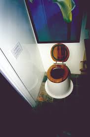 waterless toilets yourhome