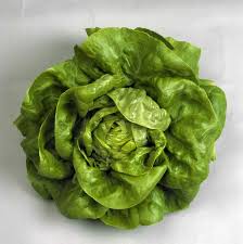 nutritional values of lettuce leaves