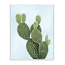 desert cactus plant ly pear