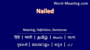 nailed meaning in marathi nailed