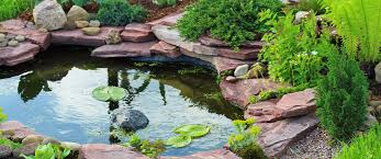 Create A Backyard Oasis With A Water