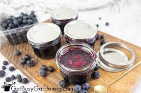 homemade blueberry jelly recipe quick
