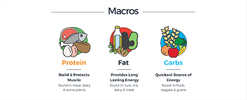macro micronutrients