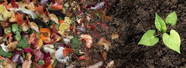 What Is Composting And How Can We Do It