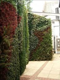 Artificial Green Walls Interior