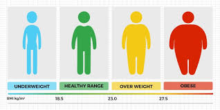 Indian Bmi Calculator For Men Women Bmi Chart Truweight