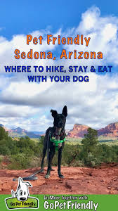 dog friendly sedona az where to hike