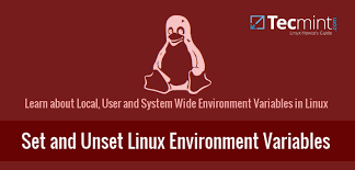 system wide environment variables in linux