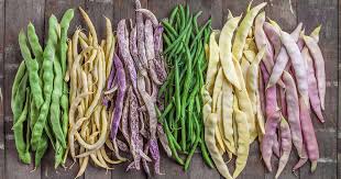 15 of the best types of pole beans