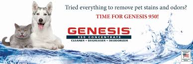 genesis 950 pet stain remover
