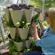 Grow A Vertical Herb Garden In A Small
