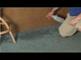 carpet cleaning how to remove mildew