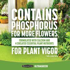 pennington ultragreen all purpose plant