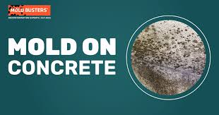 Guide To Mold On Concrete