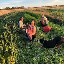 Mongol is a country just like china, which has its unique culture. Be A Part Of The Magic At Our Family Run Veggie Farm Near Melbourne Vic Australia