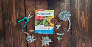 grow succulents with aerogarden
