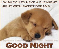Image result for good night images