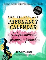 The All In One Pregnancy Calendar Daily Countdown Planner And