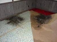 carpet water stain removal by steam n