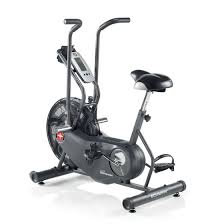 Schwinn Airdyne Ad6 Exercycle Elite