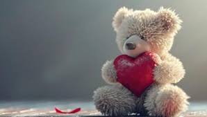valentines day teddy bear stock photos