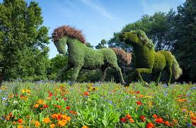 Plant Sculptures In Montreal