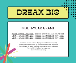 dream big multi year grant initiative