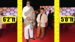 Shortest To Tallest All Bollywood Actors Real Height
