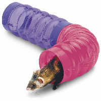 ferret tunnels and s best options