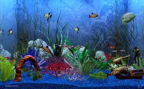 50 free 3d aquarium wallpapers