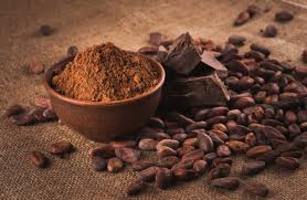 Résultat de recherche d'images pour "image cacao"
