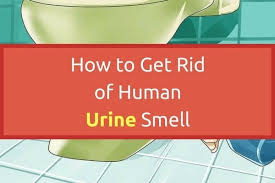 how to get rid of human urine smell