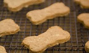 Kol tried one and liked it, but he wasn't enthralled. 12 Recipes For Homemade Dog Treats Brit Co