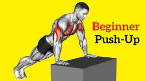 10 best push up for beginner to build