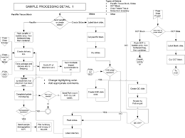 Sample Business Process Flow Diagram Get Rid Of Wiring