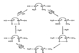 Catalytic Decomposition Of Hydrogen
