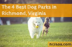 best dog parks in richmond virginia
