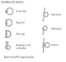 Types Of Snaffle Bit Rings Horses Horse Facts Horse