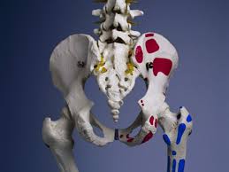 is partial hip replacement often the