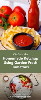 worthy homemade ketchup using