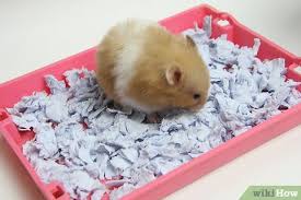 how to make hamster bedding similar to