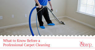 professional carpet cleaning method