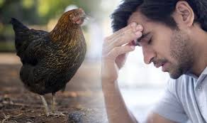 The disease is transmitted via contact with an infected bird's feces, or secretions from its nose, mouth or eyes. Deadly Bird Flu Could Arrive In Uk This Winter Public Health England Issue Egg Warning Uk News Express Co Uk
