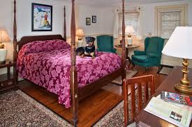 pet friendly hotel north conway
