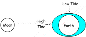 Inquisitive Hi Tide Low Tide Chart 2019